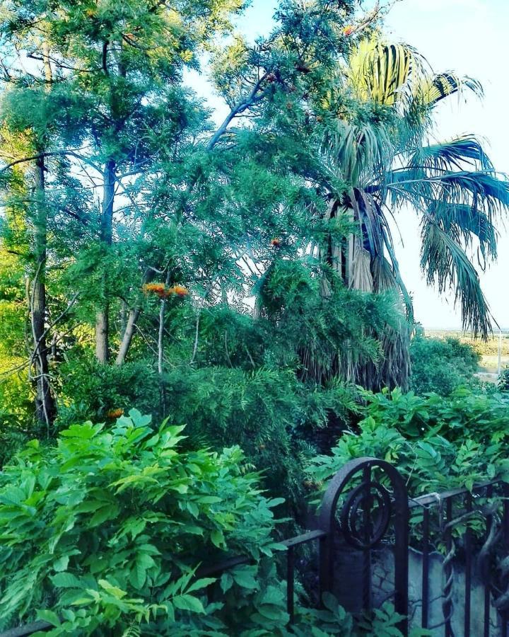 موديكا Villa Polara المظهر الخارجي الصورة
